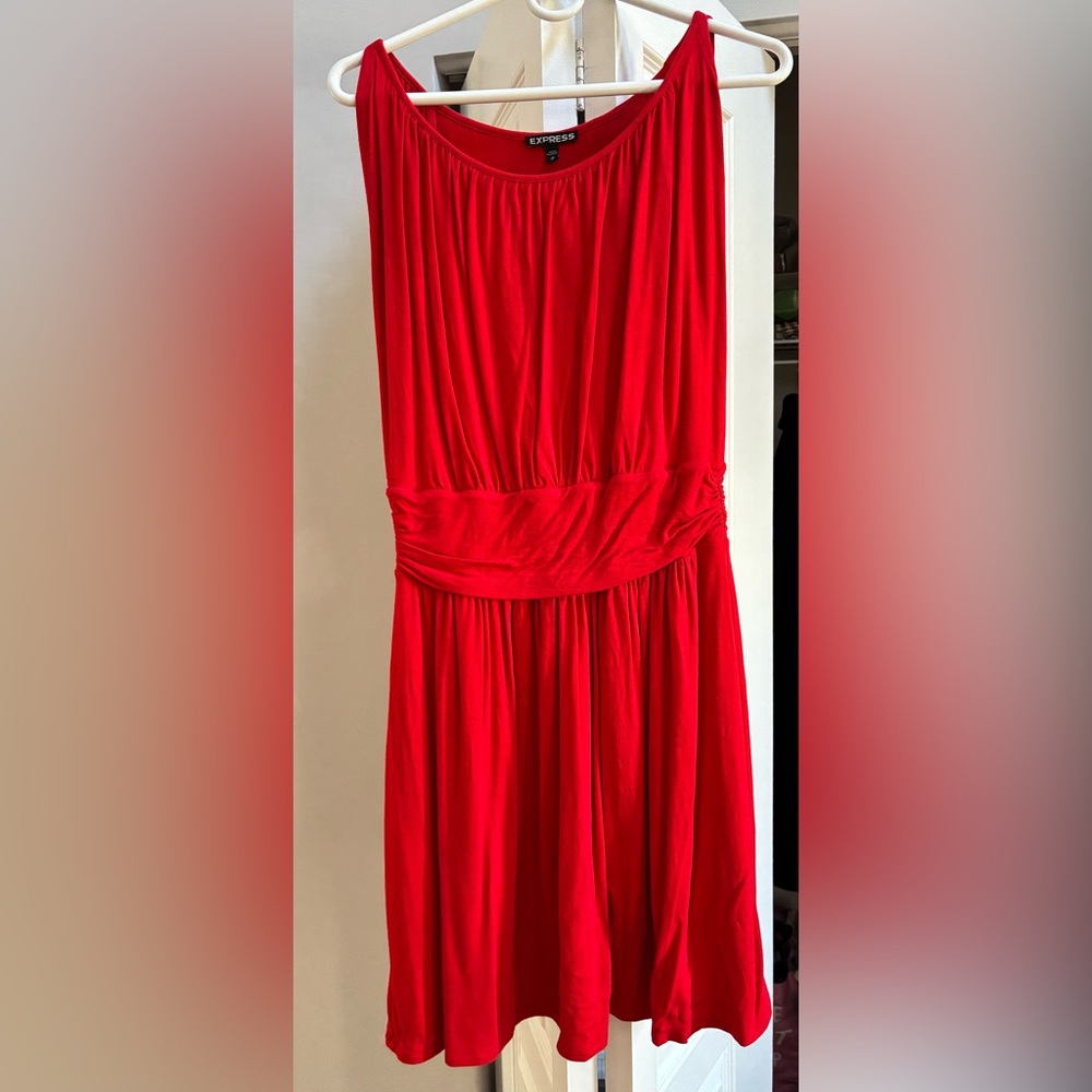 Express Cinch Waist Dress